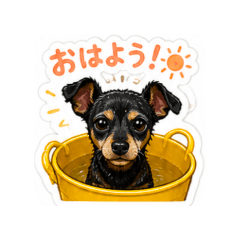 nekokone_20260503151428