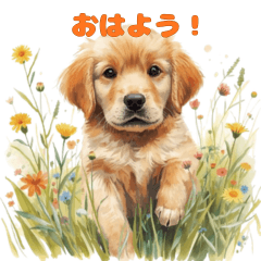 Golden Retriever stickers0916