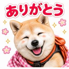 16 Shibainu Stickers