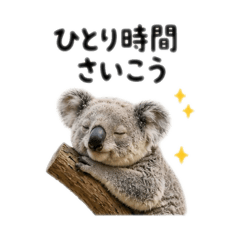 Koala Me Time