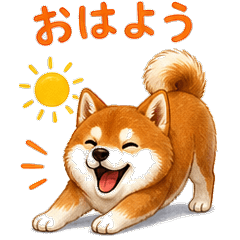 Shiba Inu Daily 24