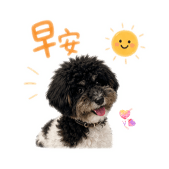 虎虎表情貼-1