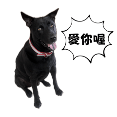 波喜大王第二彈！