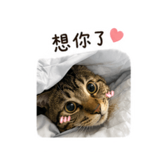 台幣日常1