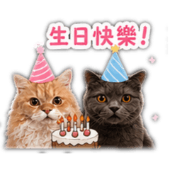 灰塵可頌