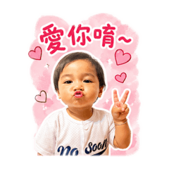 霏霏在此