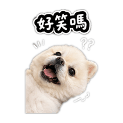 偷偷偷偷偷比
