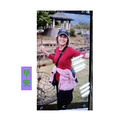 少娟早安图