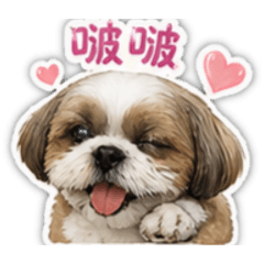 酷奇3