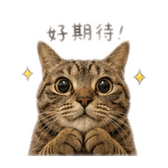 20260428 阿福牛奶憨吉乖乖