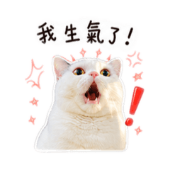 點點係一隻喵