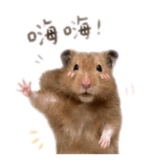 啊溝溝