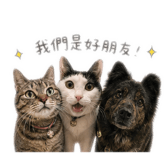 好朋友 2026
