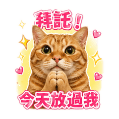 花生不用上班去
