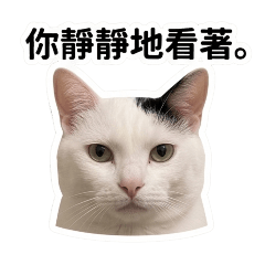 圈圈拜託讓我過