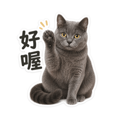 多多_1