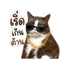 Aoom_20260428121324