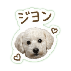 DAILY WANWAN
