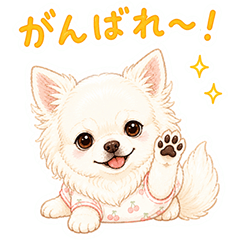 Lily's White Chihuahua Words