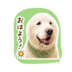 peanuts_20260503105504