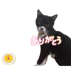 kanoka_20260503152440