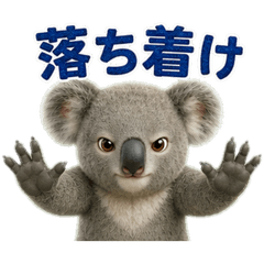 A Koala's Daily Greeting