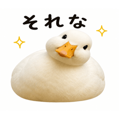 ame_20260503153602
