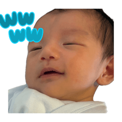 Lolo_20260503153401