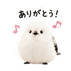 piiii natsu_20260503153021
