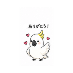 teru_20260503153202