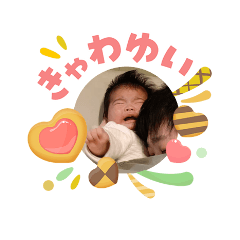 hassy_20260503153619