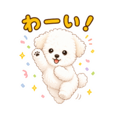 maplesail_20260503153358
