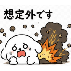 seigo_20260503153759