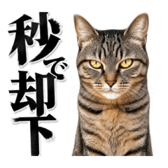 Akiyoshi_20260503152935