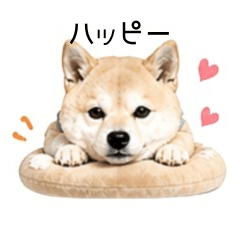 Shiba Inu Happy-Gentle Worde