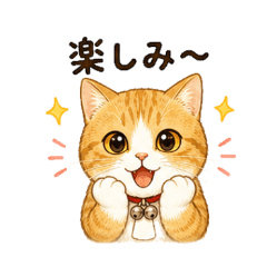 The cat at home