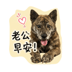 張泡芙03（媽媽專用）