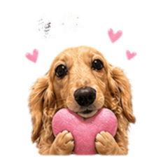 臘腸璐一下日常