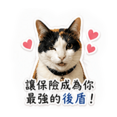 小花貓皮蛋的業務日常
