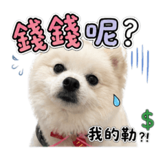 BO哥Bo