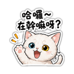 青青的日常1