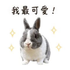 Mia 最可愛（有字版）