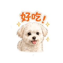 瑪爾Q比第二代