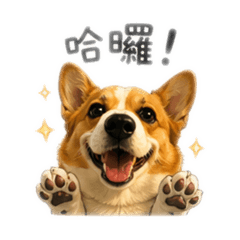 我是最可愛的呂妹妹