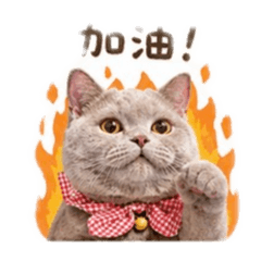 里長伯戴門的日常
