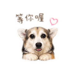 邦妮日常小劇場