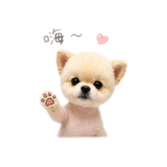 可愛の小吉
