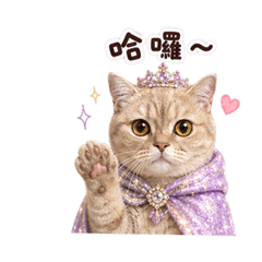 本公主很難搞｜日常對話