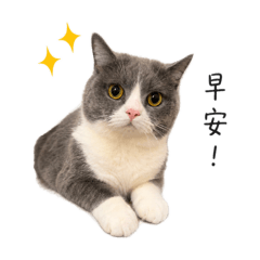 我家溫特敲口愛