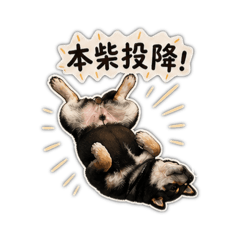 Pocky賣萌日常2